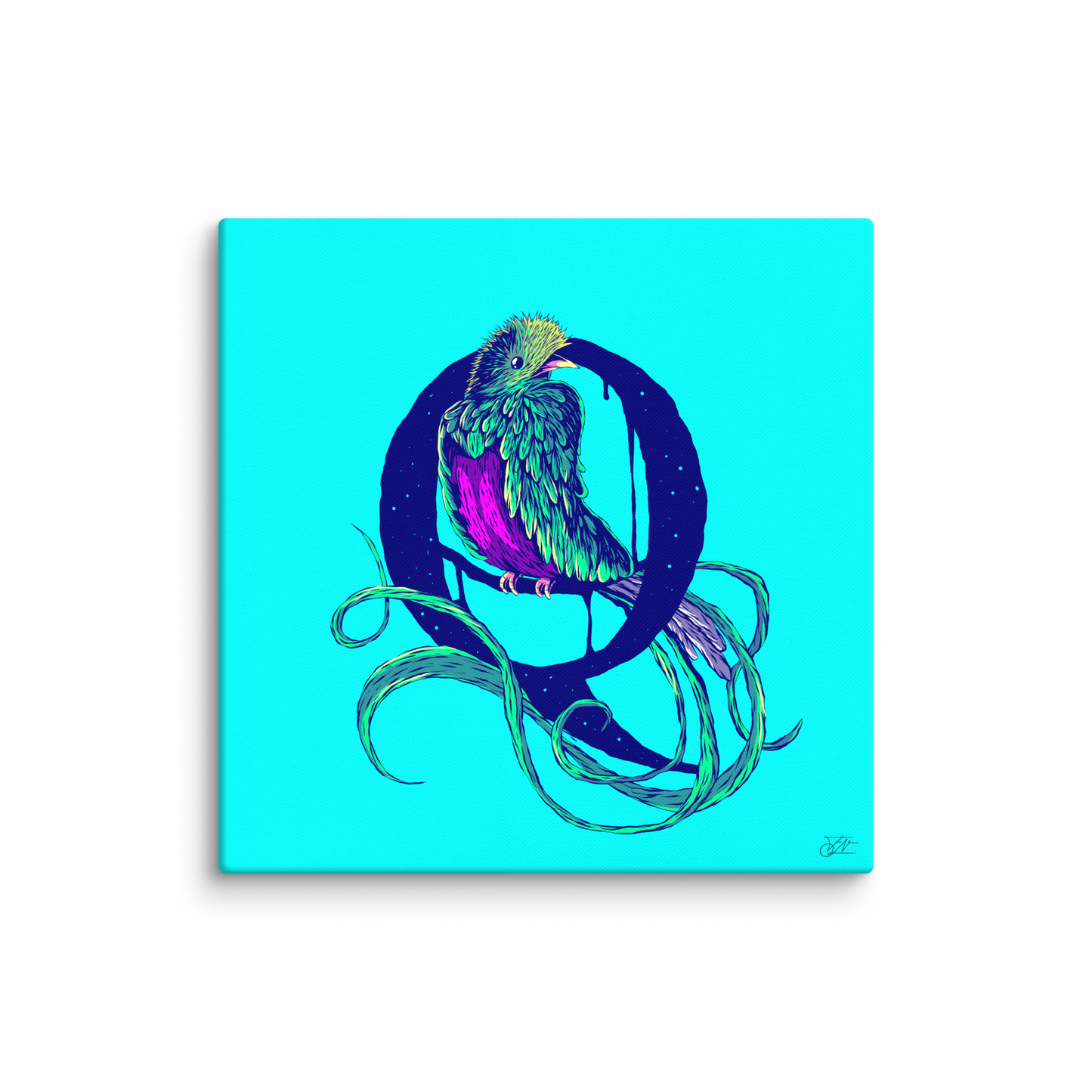 A-Z Animalz - Quetzal