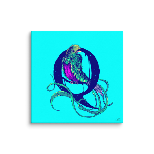 A-Z Animalz - Quetzal