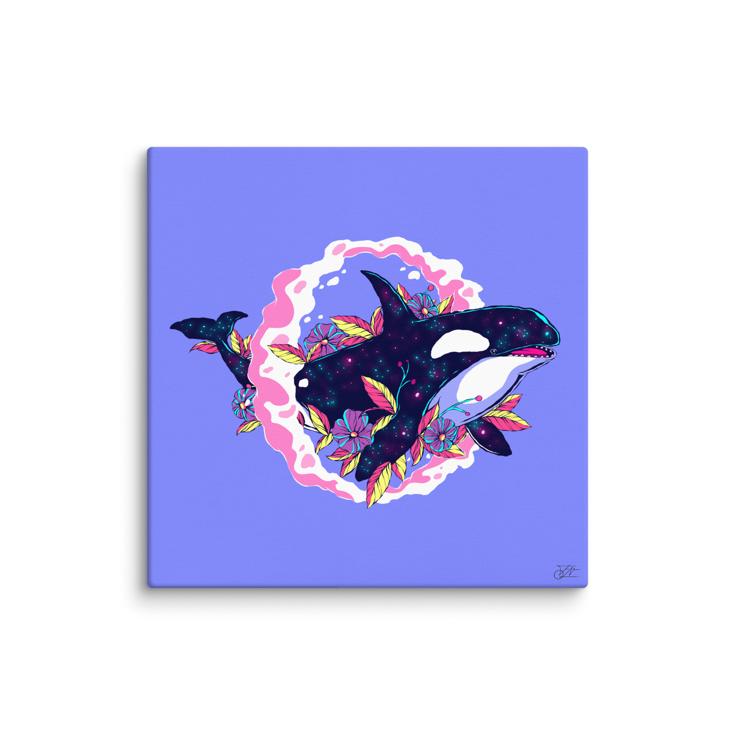 A-Z Animalz - Orca